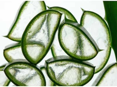 Aloe Vera või 200g