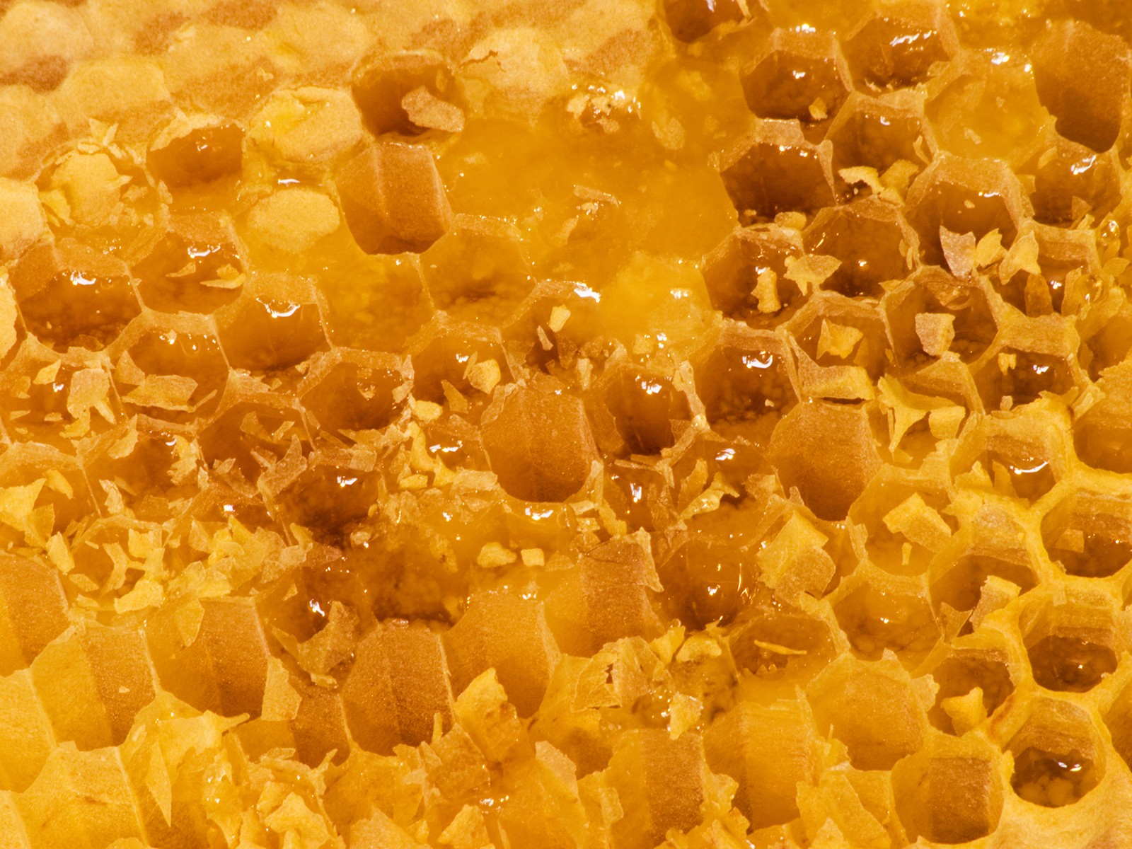 Mesilasvaha absoluut 30% 5ml