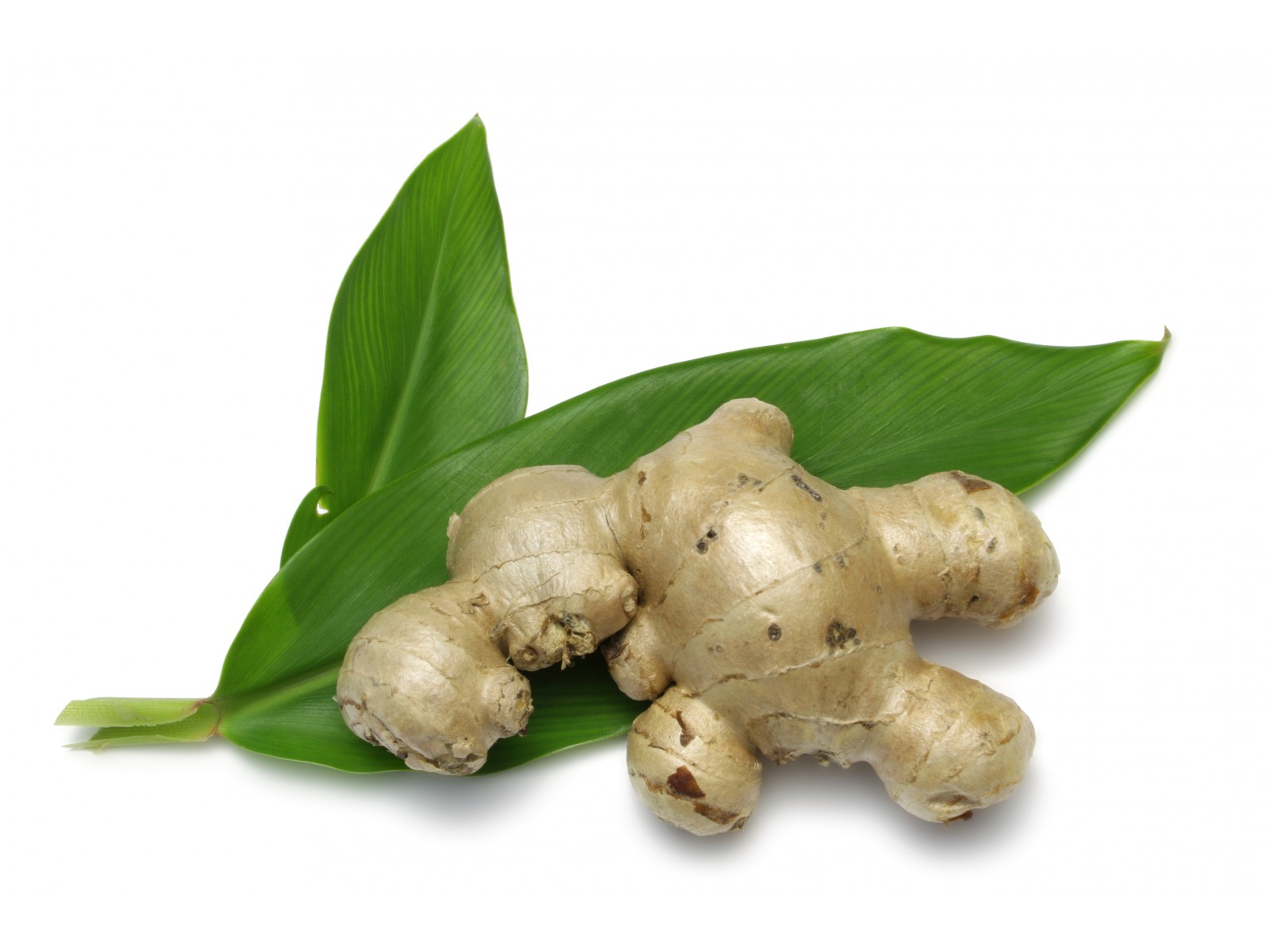 Ingver 5ml Zingiber officinale