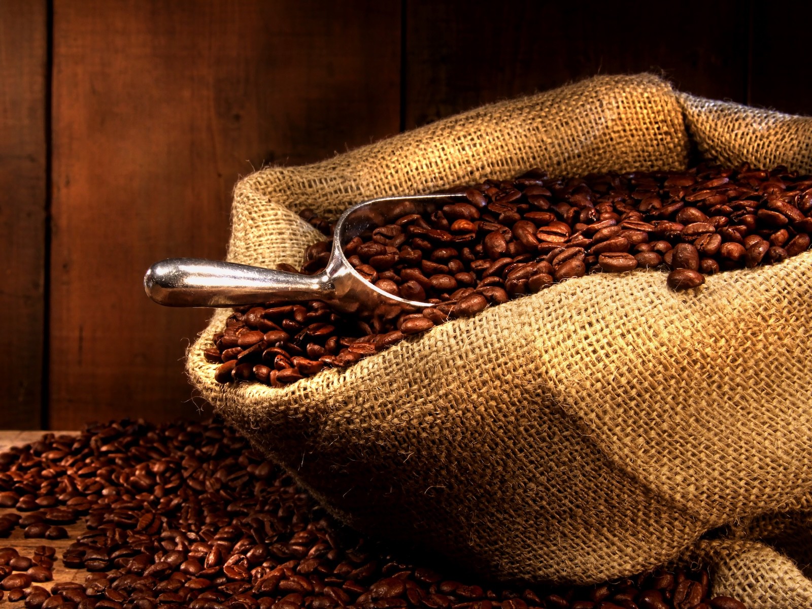 Kohvioa absoluut 30% 5ml