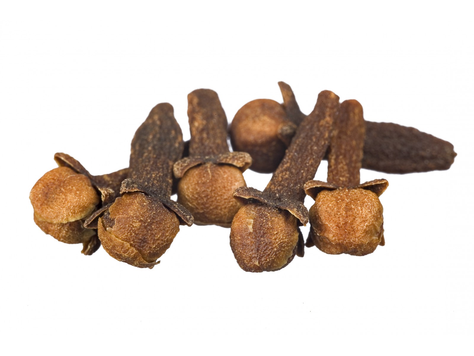 Nelgiõli (pung) 10ml EUGENIA CAROPHYLLATA